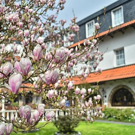 Vichter Hotell Stolberg (Rhineland)