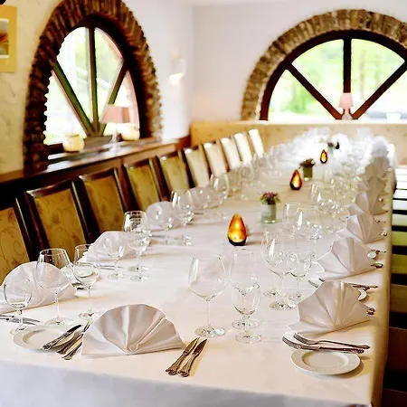 Vichter Hotel 3*