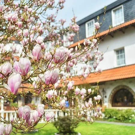 Vichter ホテル 3*