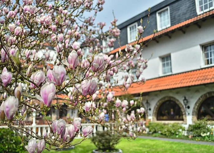 Vichter Hotel Stolberg (Rhineland)